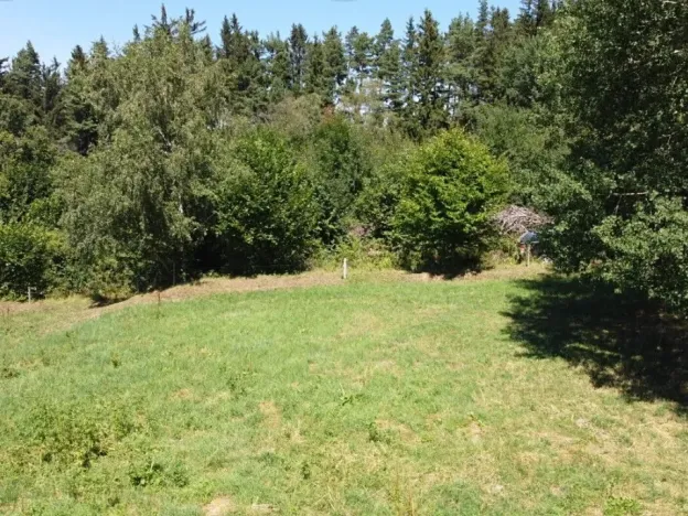 Dražba pole, Strašín, 33898 m2