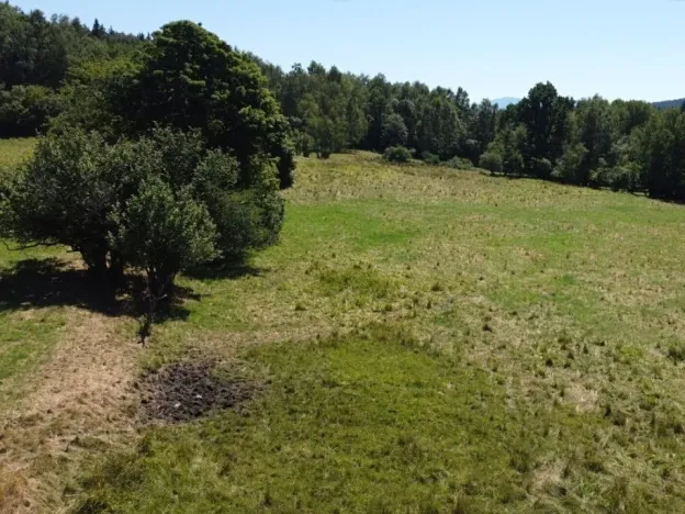 Dražba pole, Strašín, 33898 m2