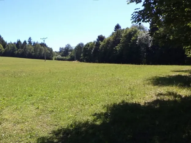 Dražba pole, Strašín, 33898 m2