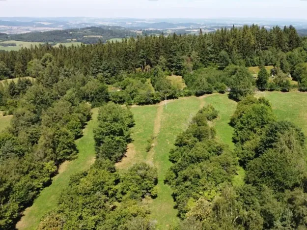 Dražba pole, Strašín, 33898 m2