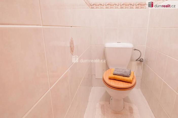 Prodej rodinného domu, Mladá Boleslav, Viničná, 350 m2