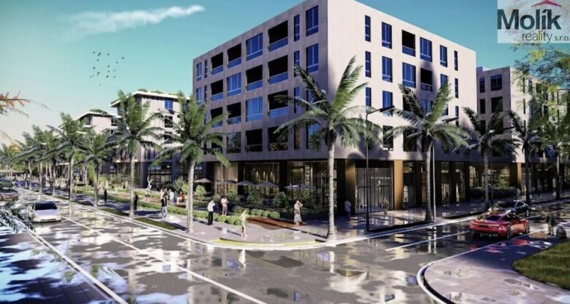 Prodej bytu 2+kk, Golem, 72 m2