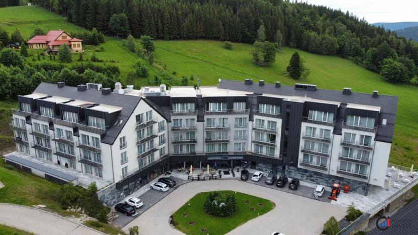 Prodej apartmánu, Dolní Morava, 46 m2