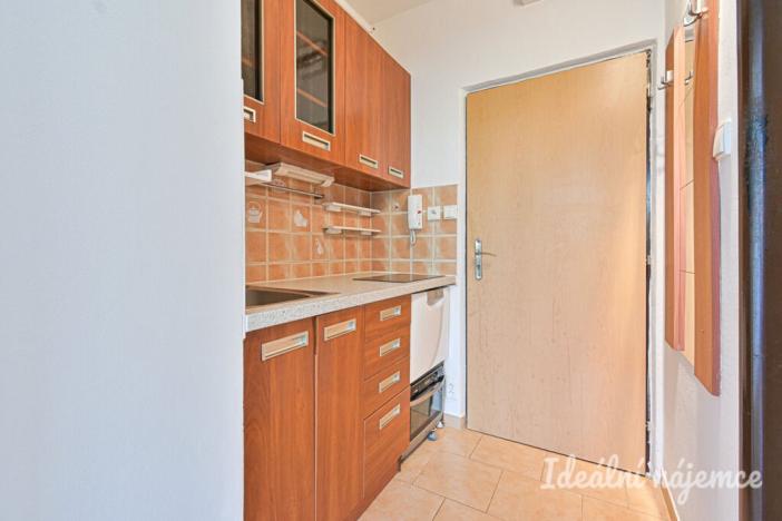 Pronájem bytu 1+kk, Brno, Jedovnická, 22 m2