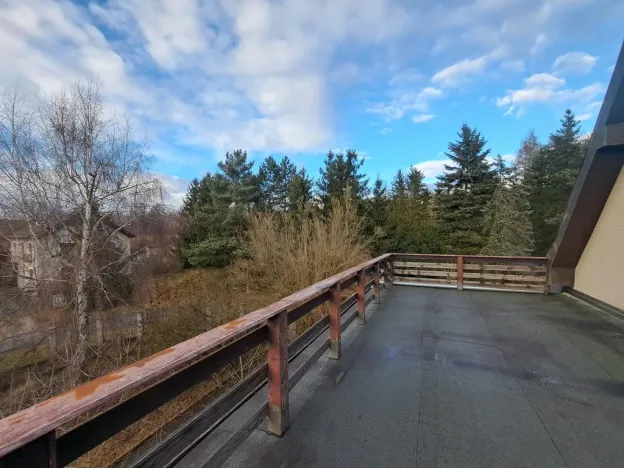 Prodej rodinného domu, Nové Strašecí, Nádražní, 350 m2