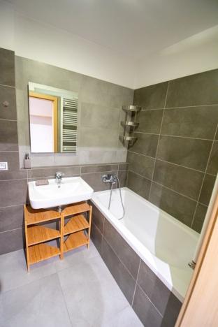 Pronájem bytu 1+kk, Moravany, Višňová, 34 m2