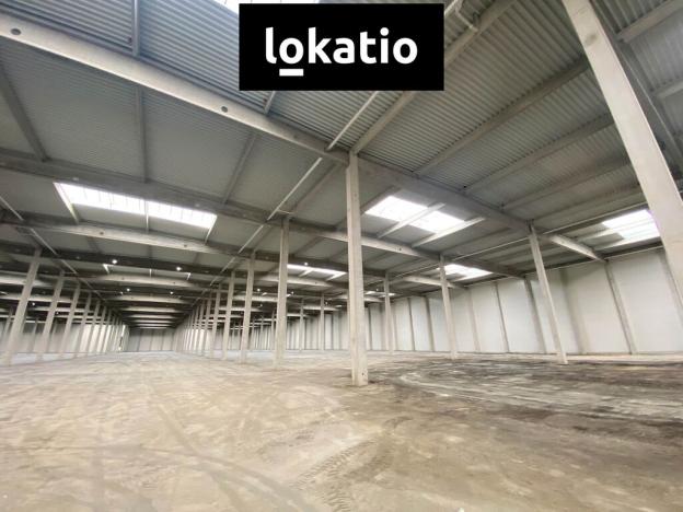 Pronájem výrobních prostor, Ostrava - Hrušov, 5181 m2