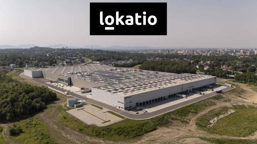 Pronájem výrobních prostor, Ostrava - Hrušov, 10173 m2