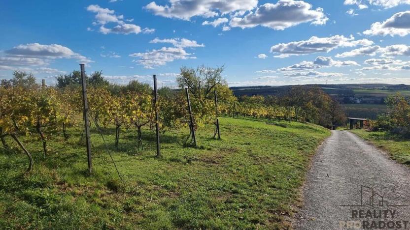 Prodej vinného sklepa, Mutěnice, 120 m2