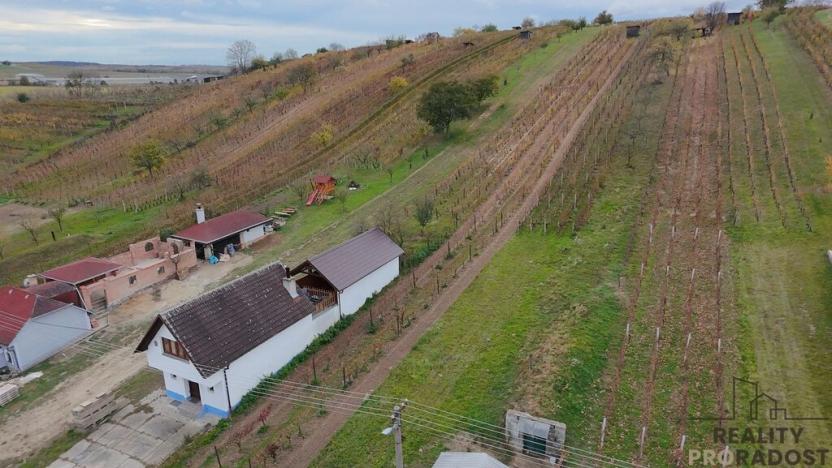 Prodej vinného sklepa, Mutěnice, 120 m2