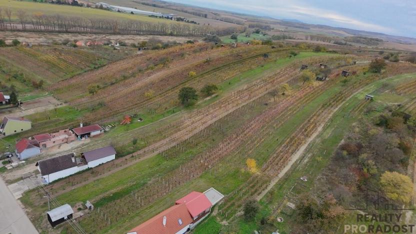 Prodej vinného sklepa, Mutěnice, 120 m2