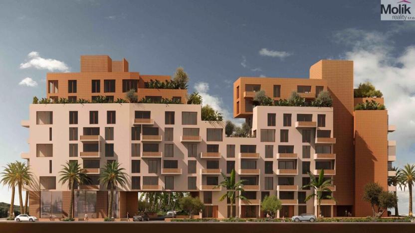 Prodej bytu 2+kk, Golem, 84 m2