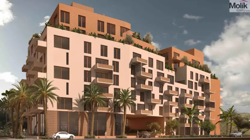 Prodej bytu 2+kk, Golem, 84 m2