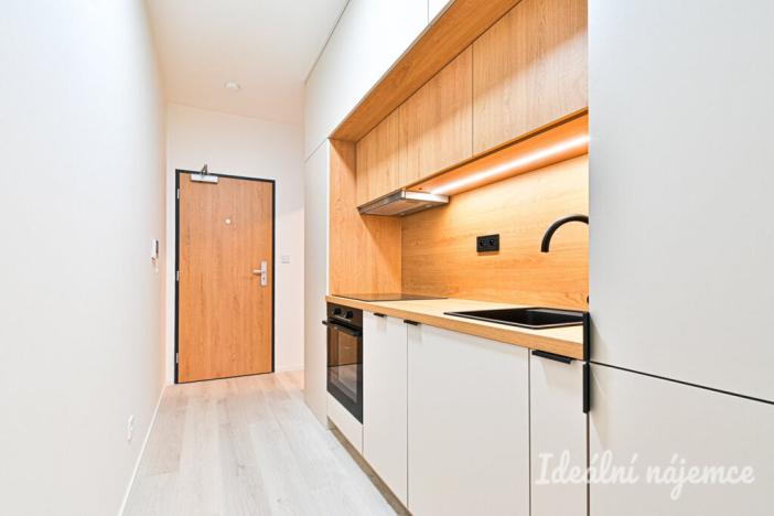 Pronájem bytu 1+kk, Brno, Dornych, 38 m2