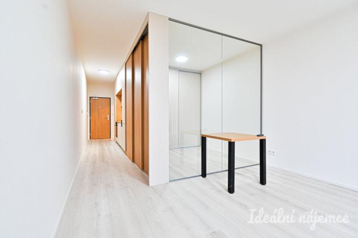 Pronájem bytu 1+kk, Brno, Dornych, 38 m2