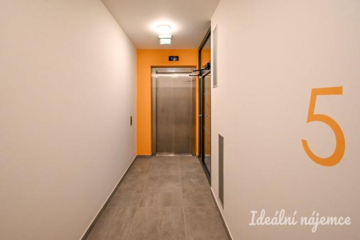 Pronájem bytu 1+kk, Brno, Dornych, 38 m2