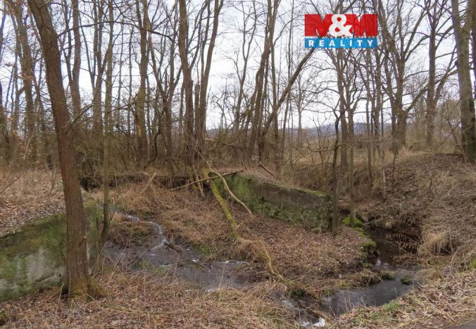 Prodej louky, Petrovice - Žemličkova Lhota, 2513 m2