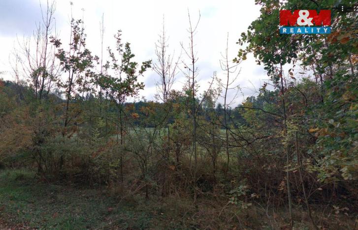 Prodej louky, Petrovice - Žemličkova Lhota, 2513 m2