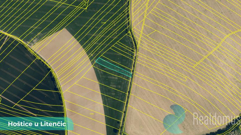 Prodej podílu 1/2 pole, Hoštice, 729 m2