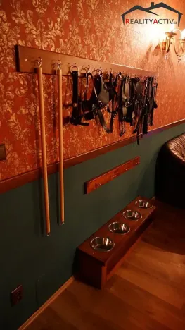 Pronájem rodinného domu, Rozdrojovice, Za Humny, 850 m2