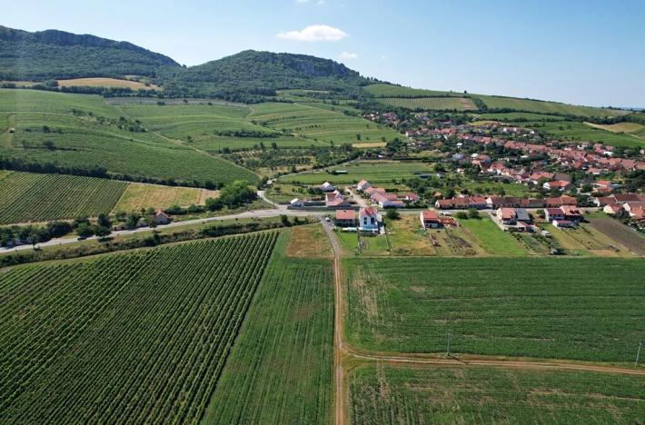 Prodej pole, Horní Věstonice, 1179 m2