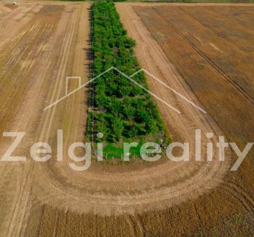 Prodej sadu/vinice, Zaječí, 8494 m2