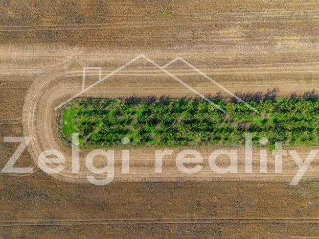 Prodej sadu/vinice, Zaječí, 8494 m2