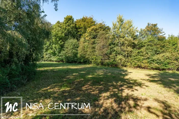 Prodej lesa, Šimonovice, 30343 m2