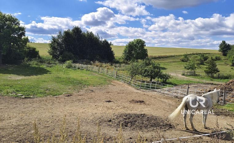 Prodej rodinného domu, Kamenná Horka, 273 m2