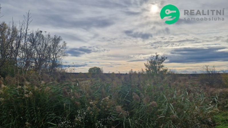 Prodej pole, Dubňany, 2371 m2