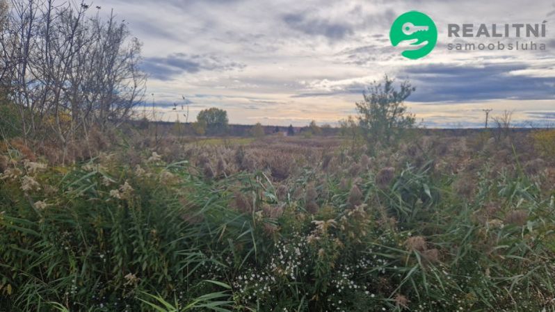 Prodej pole, Dubňany, 2371 m2