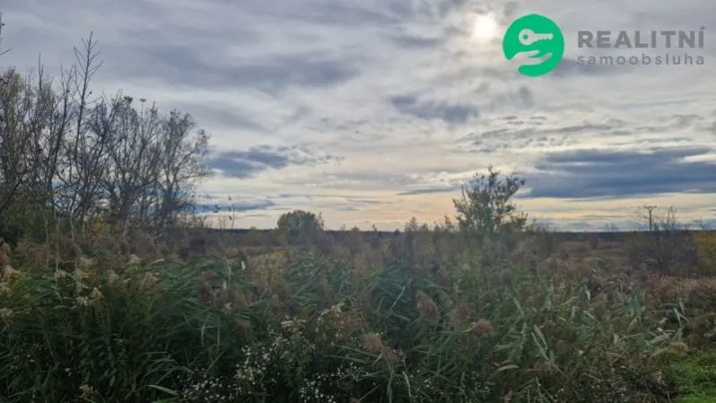 Prodej pole, Dubňany, 2371 m2