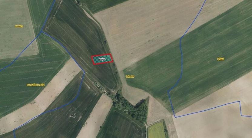 Prodej pole, Bukovka, 3169 m2