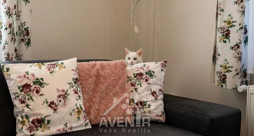 Prodej rodinného domu, Jablonec nad Nisou, 220 m2