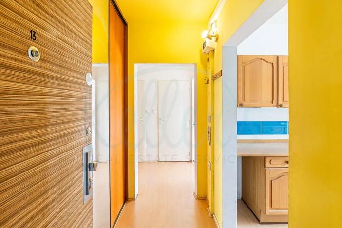 Prodej bytu 1+1, Praha - Troja, Sosnovecká, 42 m2