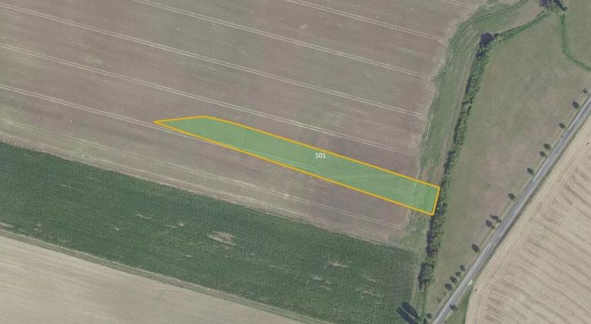 Prodej pole, Městec Králové, 17054 m2