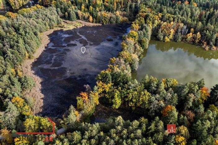 Prodej pozemku, Chlum u Třeboně - Žíteč, 64790 m2