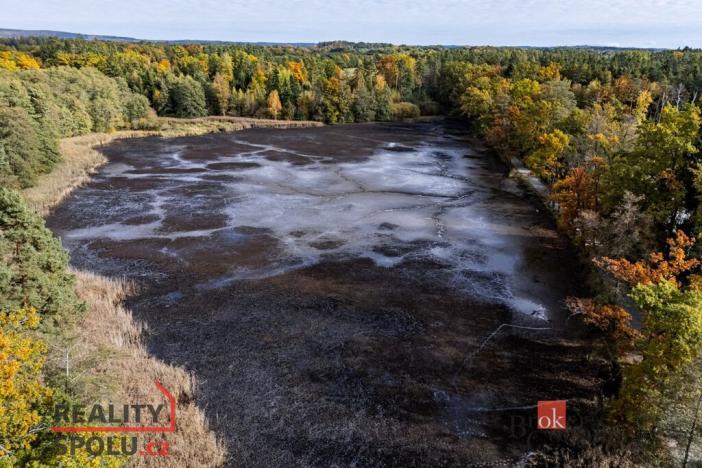 Prodej pozemku, Chlum u Třeboně - Žíteč, 64790 m2