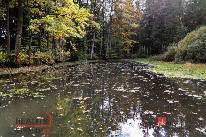 Prodej pozemku, Chlum u Třeboně - Žíteč, 64790 m2