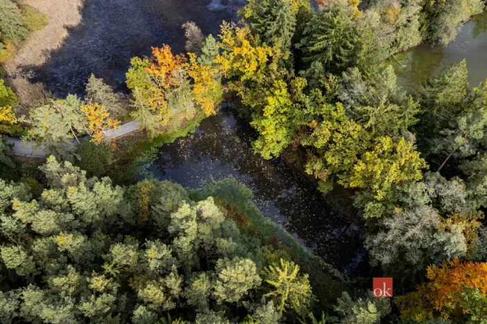 Prodej pozemku, Chlum u Třeboně - Žíteč, 64790 m2