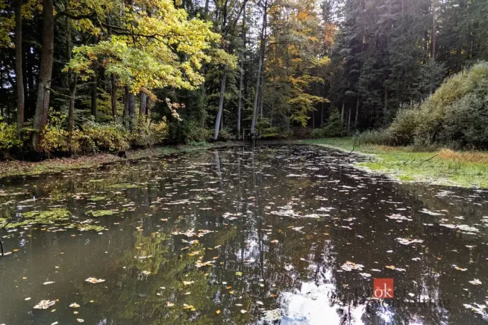 Prodej pozemku, Chlum u Třeboně - Žíteč, 64790 m2
