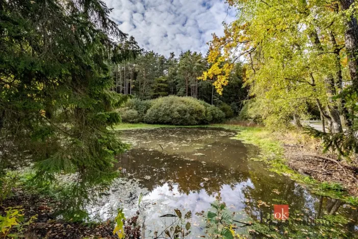 Prodej pozemku, Chlum u Třeboně - Žíteč, 64790 m2
