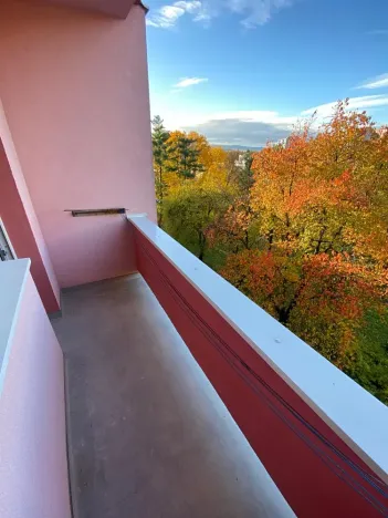 Prodej bytu 3+1, Uherský Brod, Družstevní, 72 m2