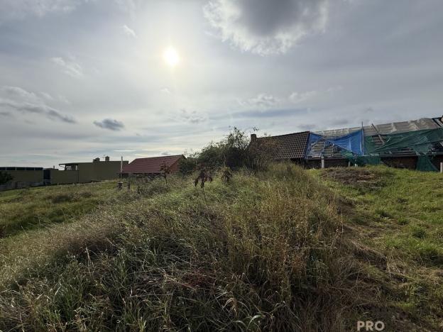 Prodej vinného sklepa, Hrušky, 35 m2