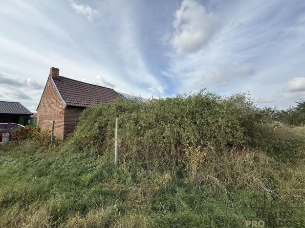 Prodej vinného sklepa, Hrušky, 35 m2