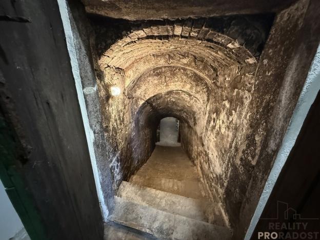 Prodej vinného sklepa, Hrušky, 35 m2