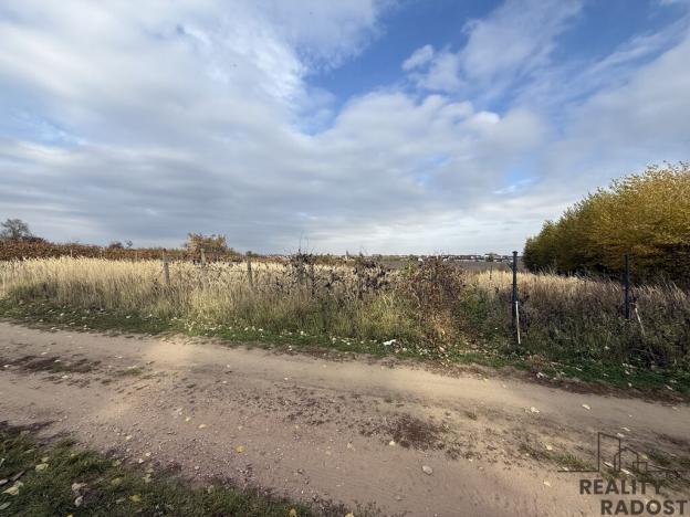 Prodej vinného sklepa, Hrušky, 35 m2