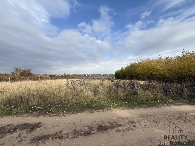 Prodej vinného sklepa, Hrušky, 35 m2