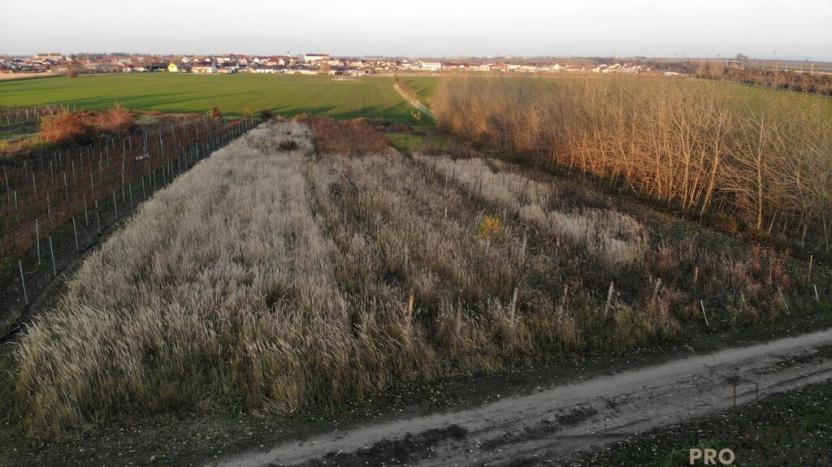 Prodej vinného sklepa, Hrušky, 35 m2