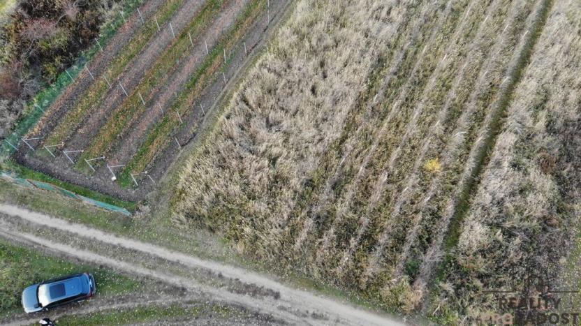 Prodej vinného sklepa, Hrušky, 35 m2